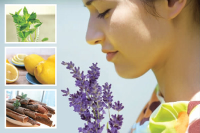 芬芳中的養(yǎng)生智慧 八種香味的保健奇效