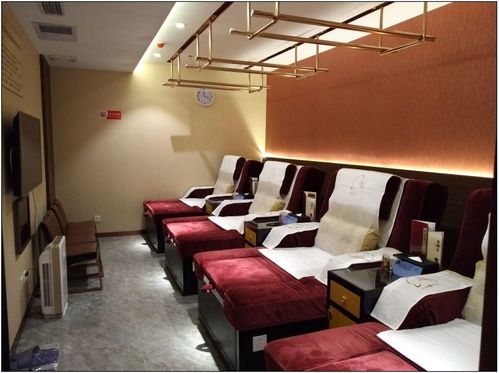 專業中醫養生保健的領導者 融合傳統智慧與現代服務的健康守護