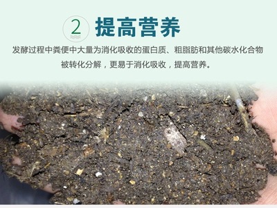 發(fā)酵雞糞肥水養(yǎng)魚(yú)用EM菌發(fā)酵劑價(jià)格及生物有機(jī)肥料研發(fā)概述